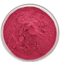 Poudre juteuse de fruits de canneberge pure de haute qualité poudre de canneberge sèche boisson solide instantanée