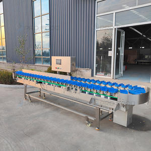 Trieuse de fruits automatique industrielle à grande échelle Machine de classement électrique de fruits de dragon Machine de niveleuse d'oignon - Product Image 3