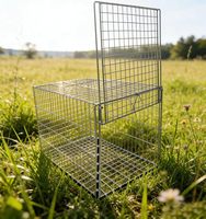 Cage à pigeons à entrée unidirectionnelle, piège à pigeons grande taille, portable, facile à assembler, conception anti-évasion, cage à oiseaux spacieuse pour intérieur/extérieur