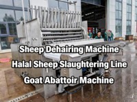 Proyecto Llave en Mano de Alta Productividad, Equipo Completo de Matadero de Ovejas y Cabras de Acero Inoxidable, Línea de Procesamiento Automática