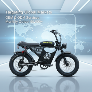 Bicicleta Eléctrica de Neumáticos Anchos Estilo Retro de 1000W, 48V 20Ah, 20 Pulgadas, E-Bike, Bicicleta Eléctrica con Llantas Anchas - Product Image 5