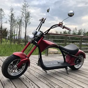 Fashion Full Size Design Durable Chinese Electric Motorcycle With Pedals