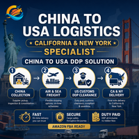 Transitaire maritime et aérien Chine-USA (Californie, New York) pour Amazon FBA DDP, agent d'expédition professionnel, logistique tout-en-un