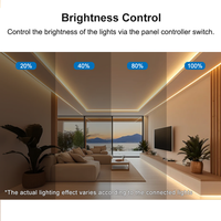 Contrôleur de bande LED CCT noir avec écran tactile, variateur d'intensité, télécommande montée, DC12V24V, réglage de la température de couleur et de la luminosité