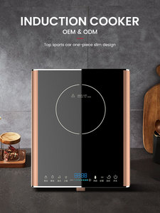 Table de cuisson à induction multi-fonctions 220V avec commande tactile, design fin monobloc - Product Image 4