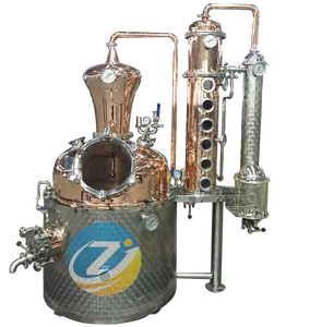 Nieuwe Ambachtelijke 300l Cognac Distilleerderij Draaiende Kegel Kolom Mini Distillatie Distillatie Apparatuur