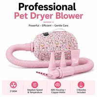 Séchoir portable 2100W à anions pour chiens et chats, avec LED et vitesse variable précise, pour un séchage sain