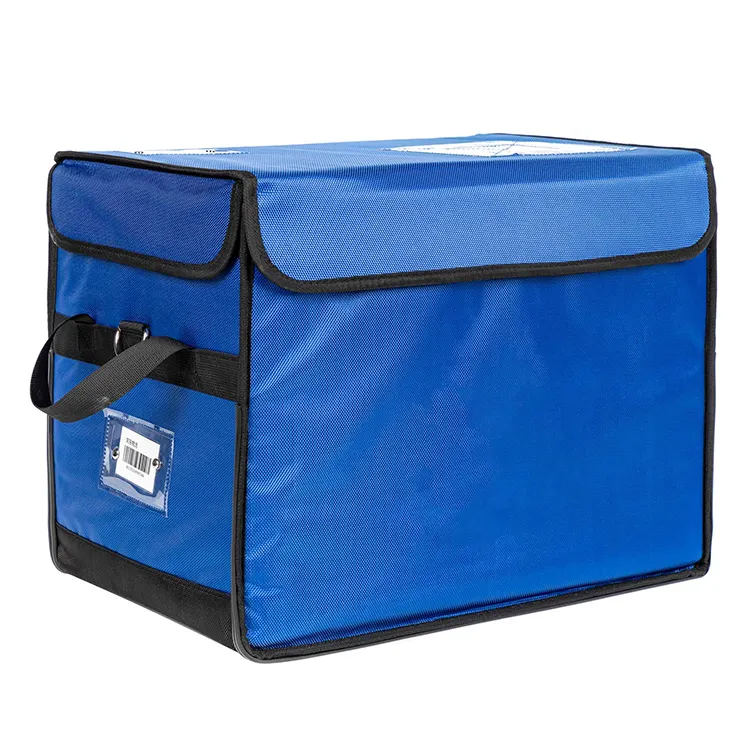 Professional Outdoor Insulated Food Delivery Cooler Bag With Customized Logo Vacuum Insulation Panel Ice Box