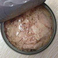 170g*48 Boîtes de conserve de thon skipjack faiblement salé, en conserve dans de l'huile végétale