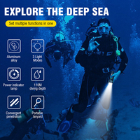 2024 lampe de poche de plongée professionnelle 3000lumens torche de plongée sous-marine en alliage d'aluminium torche de plongée 110M profondeur de plongée lampe de poche Led