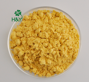 Suplemento de Nattokinasa H&Y Supply Más Vendido, Nattokinasa en Polvo de Alta Calidad 10000 FU - Product Image 1