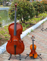 China OEM High Quality Wholesale Professional 4/4 Handmade Solid Wood Cello with Maple Neck