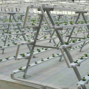 Sainpoly Sistema de Cultivo <span class=keywords><strong>Vertical</strong></span> Hidropónico de Bajo Costo para Cultivo de <span class=keywords><strong>Lechuga</strong></span> en Interiores, Torre de Cultivo en Venta - Product Image 6