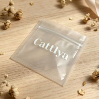 Pochette zippée en plastique givré avec logo personnalisé minimaliste, sac réutilisable refermable pour bijoux de mode, mini-produits, emballage de vente au détail