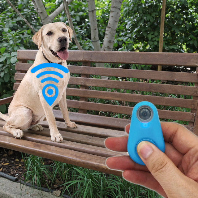 e seek dog tracker: Find Your Pet Instantly