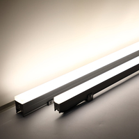 Projecteur Linéaire LED Aluminium Décoratif pour Façade Extérieure Paysage IP65 Étanche DMX RGBW "Wall Washer" à Pixels