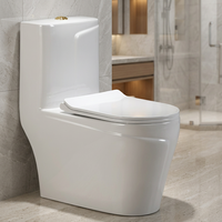 WC moderne en céramique pour salle de bain, modèle chinois monobloc
