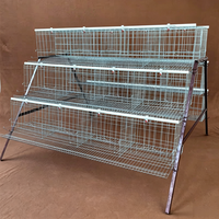 Cages à poules pondeuses économiques et très satisfaits de la qualité, équipement d'élevage avicole pour le Ghana