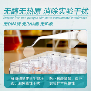 Cubiertas de Portaobjetos Labshark, 100 Unidades, Redondas, de Vidrio Ultra Transparente, Estériles, Libres de Enzimas, para Microscopía - Product Image 4