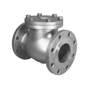 SS CF8 CF8M Ayunan Disc Type 2 Inch Valve untuk Alam Gas