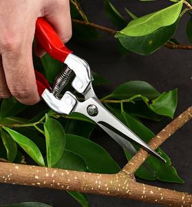 Cisailles de taille-haie et de coupe de fleurs de petite taille en acier inoxydable DaringFish - Product Image 3