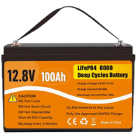 Batterie LiFePO4 rechargeable 12,8V 25,6V 100Ah 150Ah 200Ah avec poignée pour stockage solaire et VR, 8000 cycles