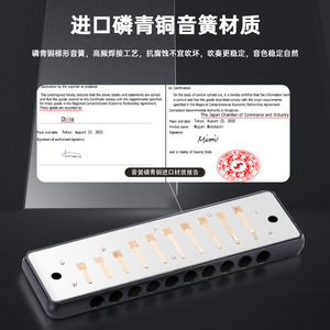 ฮาร์โมนิก้า Feifan Blues รุ่น U20 แบบ 10 รู ระดับมืออาชีพ สำหรับผู้เริ่มต้นและผู้เล่นขั้นสูง - Product Image 2