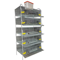 Cage à cailles de type H avec système d'abreuvement et d'alimentation, cage en treillis métallique galvanisé, 4 à 6 niveaux, durable et naturel