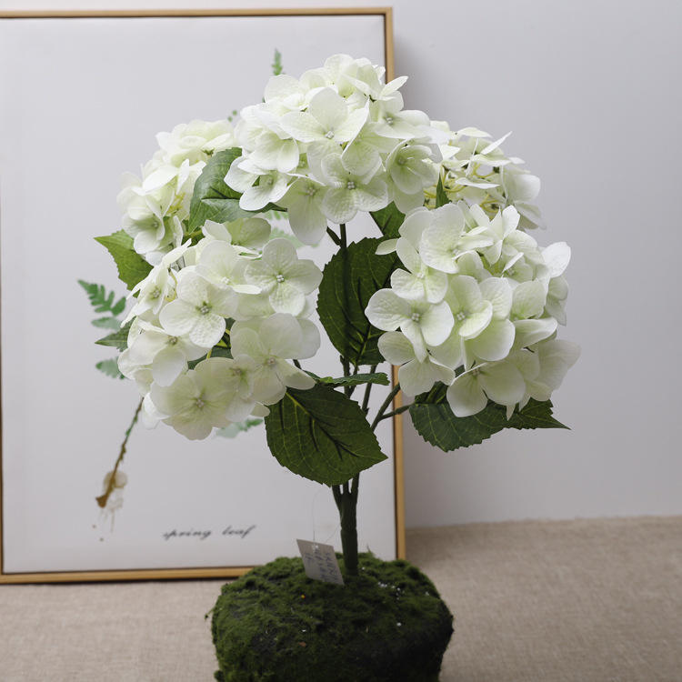 สีเขียว