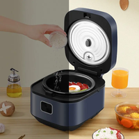 Cuisinière à riz numérique intelligente multifonctionnelle de grande capacité, portable, de haute qualité, en acier inoxydable, antiadhésive, carrée