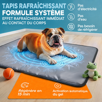 Tapis rafraîchissant pour animaux de compagnie, nouvelle version, non toxique, auto-refroidissant, personnalisable en gros, pour chiens de toutes tailles