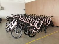 Vélo Électrique Pliant 14 Pouces en Gros avec Assistance Électrique, Batterie Lithium 36V, Cadre en Acier Carbone, Moteur Central, Double Suspension 250W