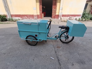 Vélo-congélateur électrique de haute qualité fabriqué en Chine, pour la vente ambulante de glaces et de sucettes glacées, vélo à trois roues - Product Image 3