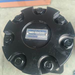 Motore Idraulico Orbitale a Bassa Velocità e Alta Coppia BMER-300A12101 BME BMER <span class=keywords><strong>OMER</strong></span> BMER-2-300WD 104-1611-006 - Product Image 6