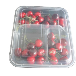 YLC 3 compart transparent fruit of Plastic like euro box large storage tubs cake roll container 3x3 pvc frigo