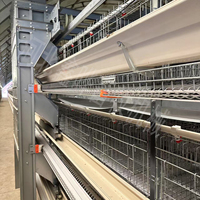 Nouvelle cage à poules pondeuses automatique en acier galvanisé de type H à 3/4 niveaux pour ferme avicole