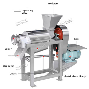 Mango Apple Squizing <span class=keywords><strong>Frut</strong></span> 220V Hydra Extractor línea comercial máquina para hacer Leche de Coco exprimidor máquina de procesamiento de línea - Product Image 3
