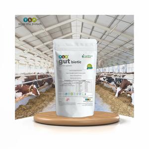 Supplément alimentaire pour volaille compatible avec le produit probiotique du cycle de vie - Product Image 1