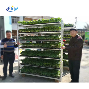 温室フラワー植物保育園トロリーカートLEDライト付き - Product Image 4