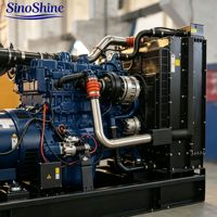 Generador de Turbina de Gas Natural SinoShine de 1MW 2MW, Funcionamiento Continuo, Potencia de Reserva y Primaria, Bajas Emisiones