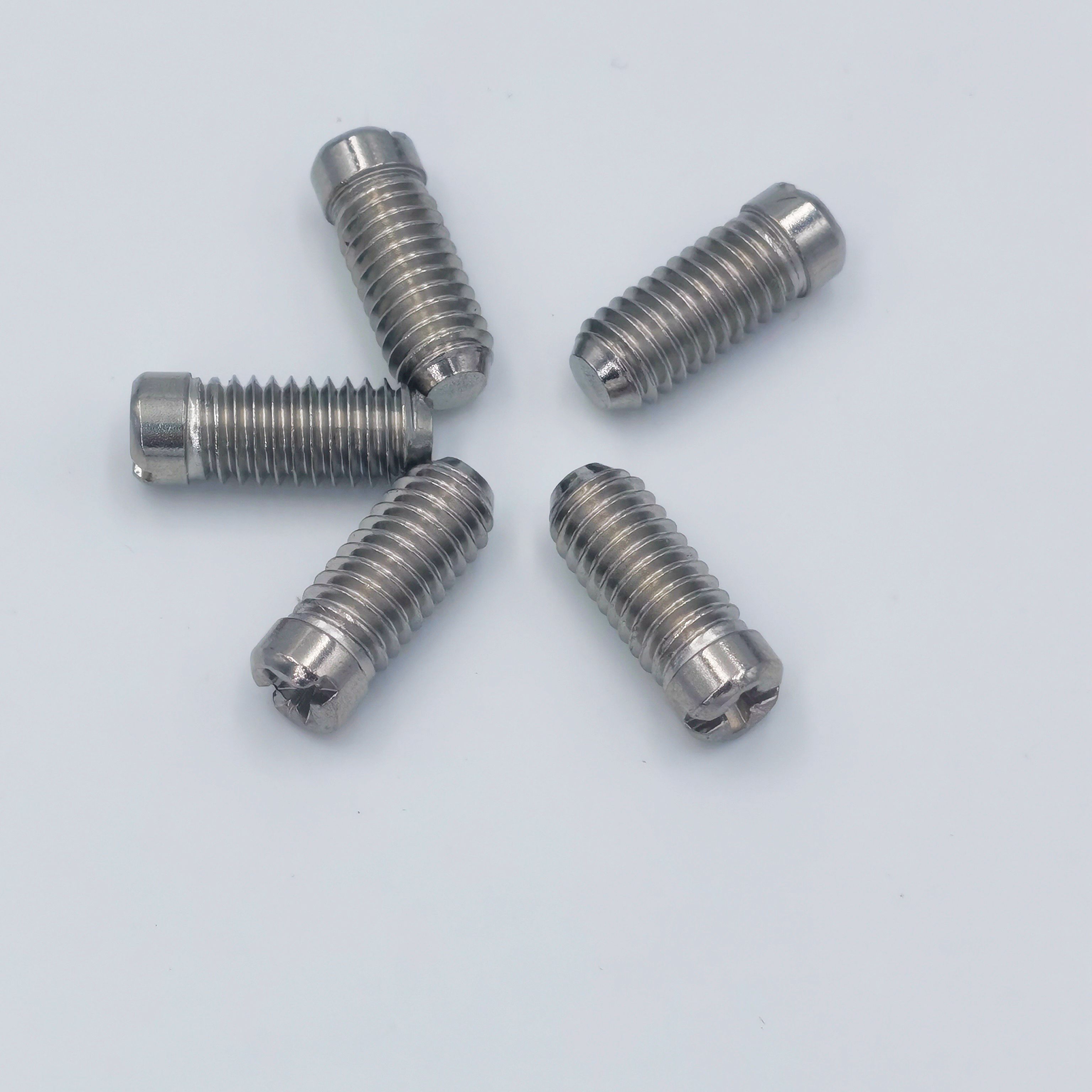 OEM Customized M3 M4 M5 M6 Plastic Dog Point Hex Socket Grub Screws