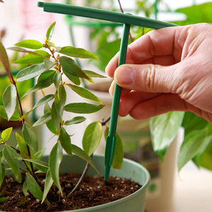 Support d'escalade anti-enchevêtrement pour orchidées, en plastique, fournitures de jardinage pour plantes et fleurs - Product Image 6