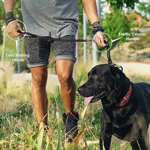 OEM/ODM Luxury Solid Pet <strong>Dog</strong> Leash Comfortable Soft Padded Handle Reflective Adjustable Eco-Friendly Nylon Elastic Bungee Rope - Product Image 4