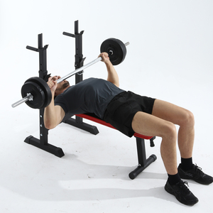 Factory Price Portable Adjustable Exercise Bench with Iron <strong>Weight</strong> <strong>Rack</strong> and Foldable Dumbbell <strong>Rack</strong> for Indoor Gym Workout - Product Image 2