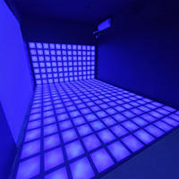 Piste de danse interactive à LED Jeux d'amusement Piste de danse interactive à LED Prix