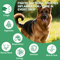 Suppléments liquides antibiotiques OEM pour chiens et chats, gouttes antifongiques et anti-inflammatoires personnalisées, liquide immunostimulant pour chiens et chats, fabrication en usine