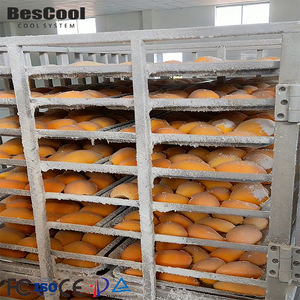 ห้องเย็นราคาโรงงาน Bescool ปรับอุณหภูมิได้ตามต้องการ -18 ℃   -25 ℃   -30 ℃   ห้องเย็นแบบเดินเข้าได้ ตู้แช่แข็งแบบเดินเข้าได้ ตู้แช่เย็นแบบเดินเข้าได้ - Product Image 4