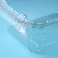 Boîte d'emballage pour fruits secs en PET recyclé écologique, contenants jetables en plastique RPET inviolables pour salades de fruits