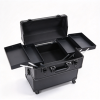 Valise de maquillage professionnelle à roulettes avec miroir éclairé, grands tiroirs, chariot cosmétique, poignée télescopique, rangement pour salon
