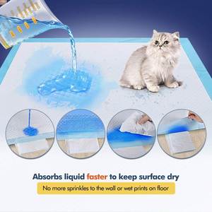 Les fabricants promeuvent les coussinets absorbants portables pour animaux de compagnie en tissu, exportations croissantes de manière considérable depuis 5 ans - Product Image 4